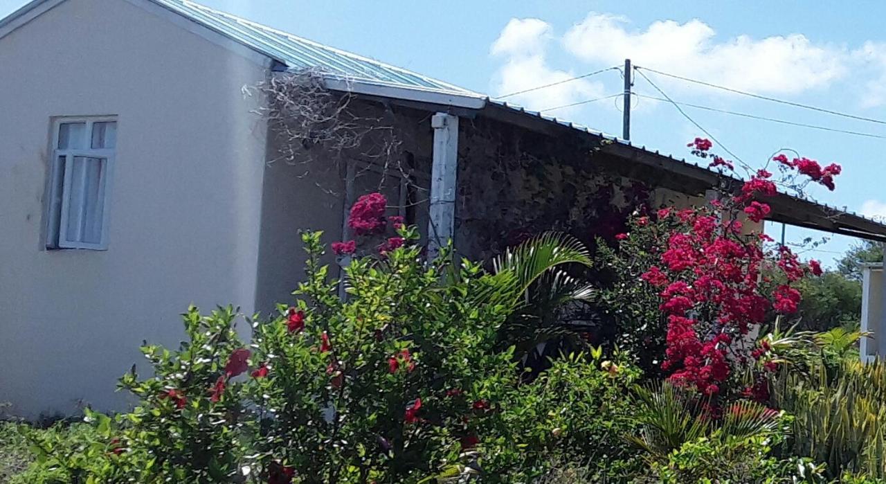 Chez Mimi Apartment Bambou Exterior photo